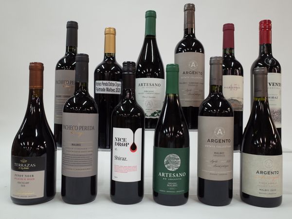 12 BOTTLES ARGENTINIAN RED WINE