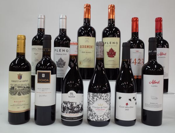 12 BOTTLES SPANISH RED WINE