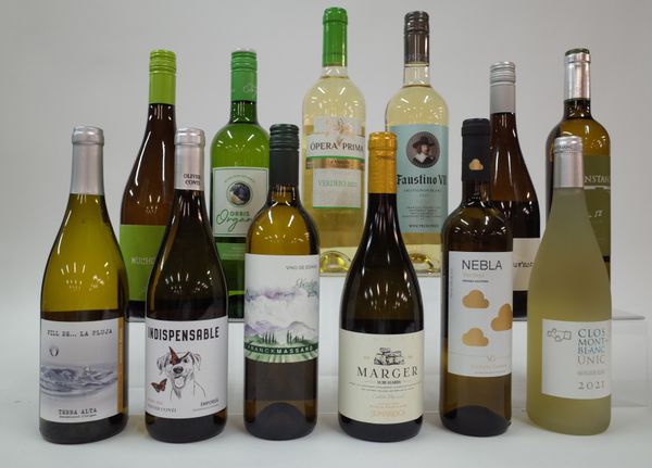 12 BOTTLES SPANISH WHITE WINE