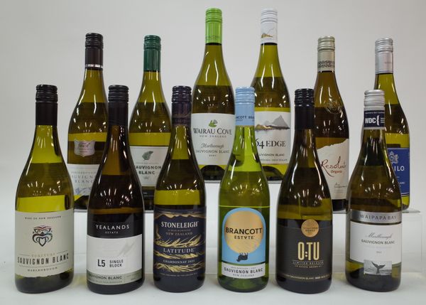 11 BOTTLES MARLBOROUGH SAUVIGNON BLANC AND 1 CHARDONNAY