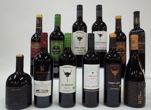 12 BOTTLES SPANISH RED WINE