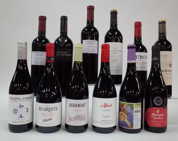 12 BOTTLES SPANISH RED WINE