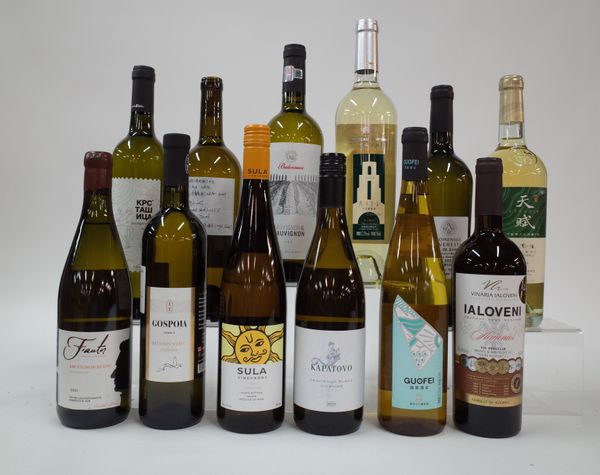 12 BOTTLES EUROPEAN AND EURASIAN WHITE WINE