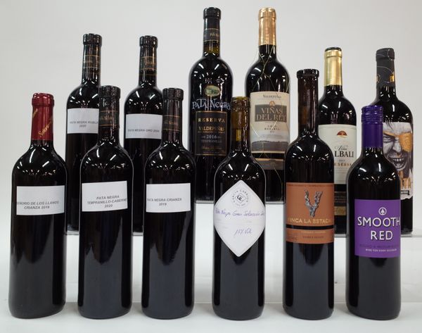 12 BOTTLES SPANISH RED WINE