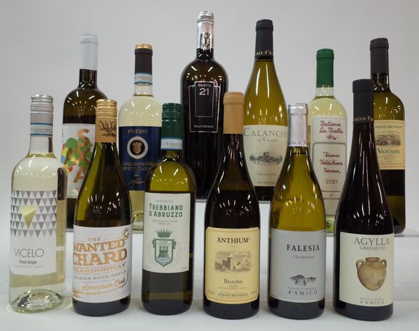 12 BOTTLES ITALIAN WHITE WINE