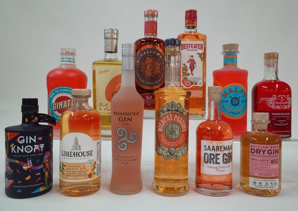 12 BOTTLES FLAVOURED GIN