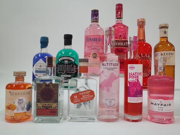 12 BOTTLES FLAVOURED GIN