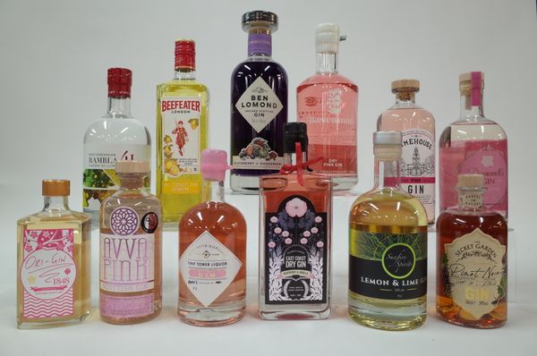 12 BOTTLES FLAVOURED GIN