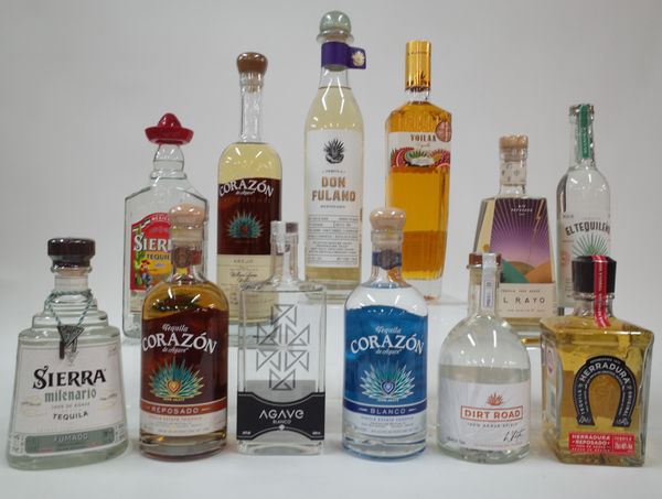 12 BOTTLES TEQUILA