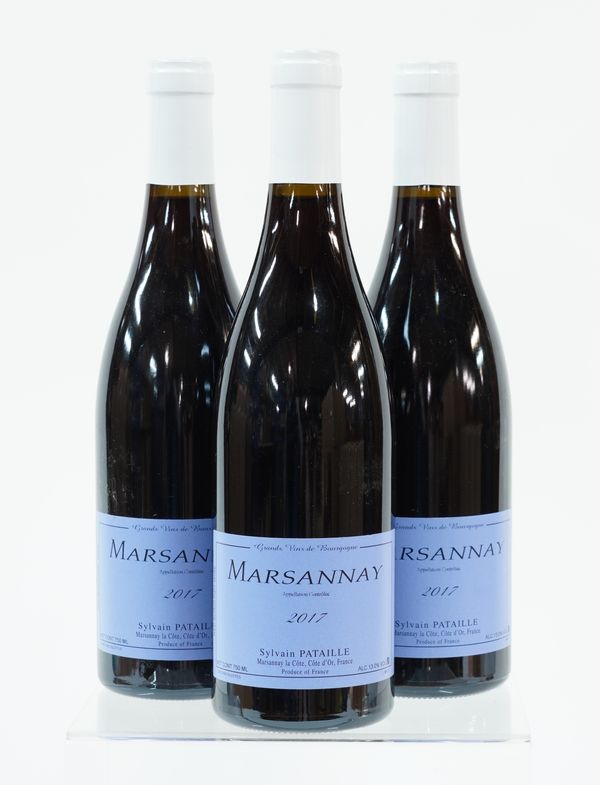 THREE BOTTLES OF MARSANNY SYLVAIN PATAILLE 2017 (3)