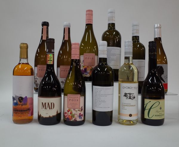 12 BOTTLES HUNGARIAN, FRENCH SWEDISH AND GEORGIAN WHITE AND ROSÉ WINE