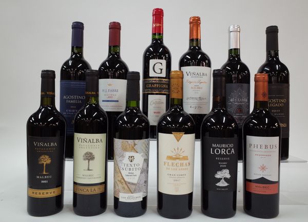 12 BOTTLES ARGENTINIAN RED WINE