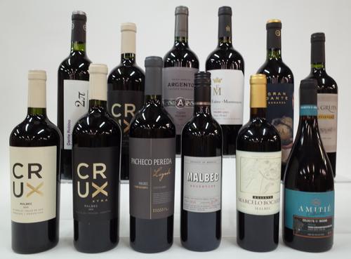 12 BOTTLES ARGENTINIAN RED WINE