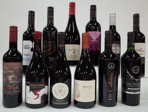 12 BOTTLES CHILEAN RED WINE