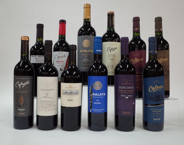 12 BOTTLES ARGENTINIAN MALBEC