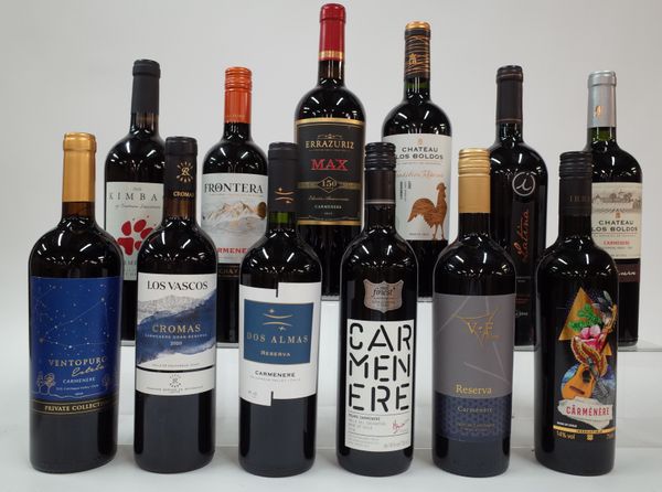 12 BOTTLES CHILEAN CARMENERE