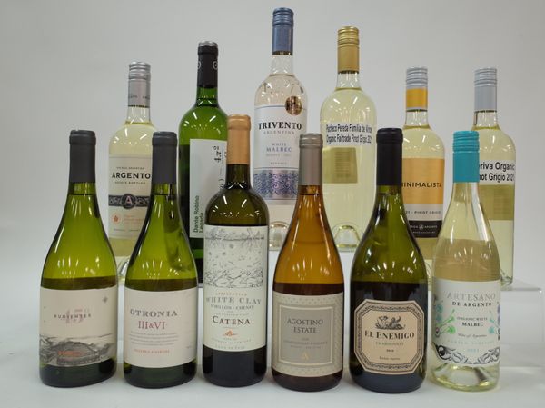 12 BOTTLES ARGENTINIAN WHITE WINE