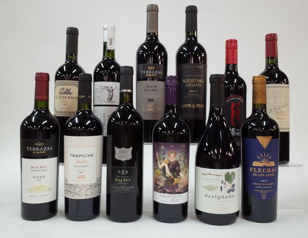 12 BOTTLES ARGENTINIAN MALBEC