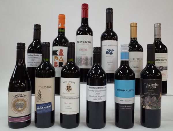 12 BOTTLES ARGENTINIAN MENDOZA MALBEC