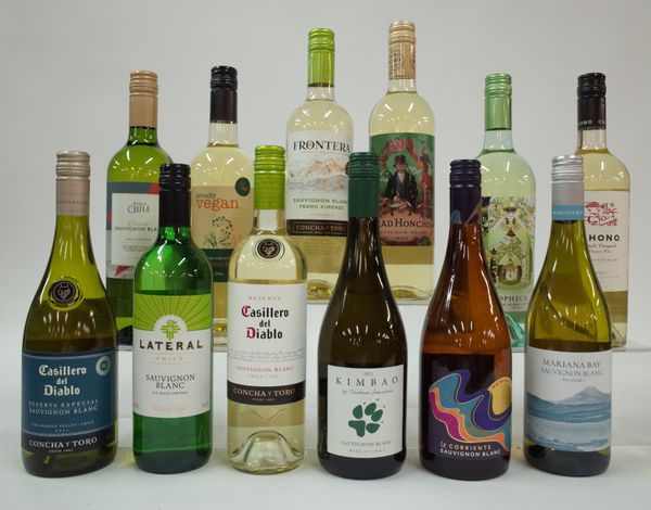 12 BOTTLES CHILEAN SAUVIGNON BLANC