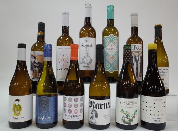 12 BOTTLES SPANISH WHITE WINE