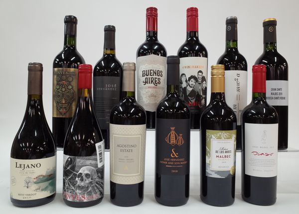 12 BOTTLES ARGENTINIAN RED WINE