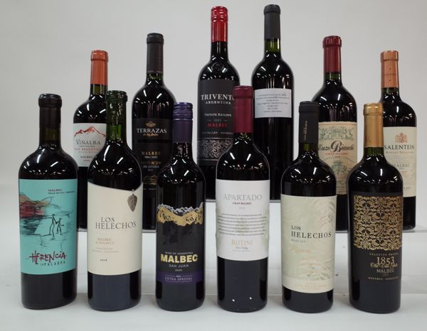 12 BOTTLES ARGENTINIAN MALBEC