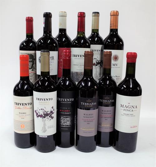 Argentinian Red Wine