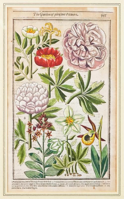 AFTER JOHN PARKINSON