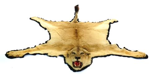 TAXIDERMY: A LION SKIN RUG