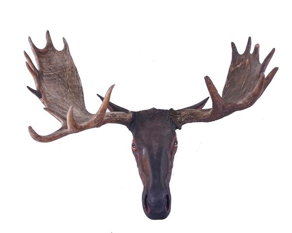 AN AUSTRIAN POLYCHROME PAINTED WOOD MOOSE HEAD AND ANTLERS