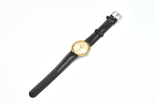 A GENTLEMAN'S GILT METAL FRONTED AND STEEL BACKED HAMILTON PAN-EUROP AUTOMATIC WRISTWATCH