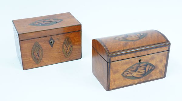 A GEORGE III RECTANGULAR MARQUETRY INLAID SATINWOOD TWIN DIVISION TEA CADDY (2)