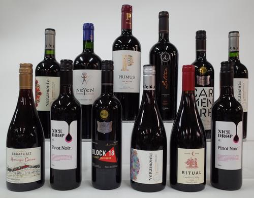 12 BOTTLES CHILEAN RED WINE