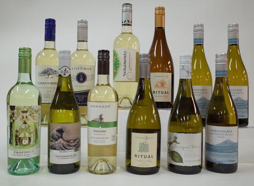 11 BOTTLES CHILEAN SAUVIGNON BLANC AND 1 CHARDONNAY
