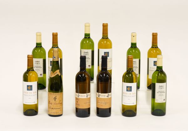 TWLEVE BOTTLES OF MIXED WINES INCLUDING FOUR BOTTLES OF GAILLAC CHATEAU DE RHODES 2014 (12)