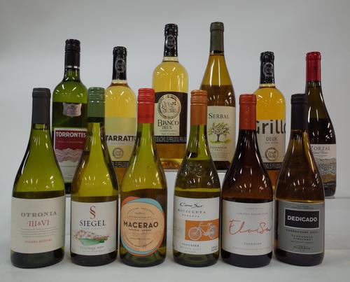 12 BOTTLES SOUTH AMERICAN WHITE WINE