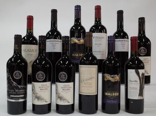 11 BOTTLES ARGENTINIAN MALBEC AND 1 CABERNET FRANC
