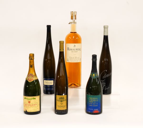 A JEROBOAM AND SIX MAGNUM BOTTLES OF WINE AND CHAMPAGNE INCLUDING A MAGNUM OF FRANZ HIRTZBERGER RIESLING 2006 (7)