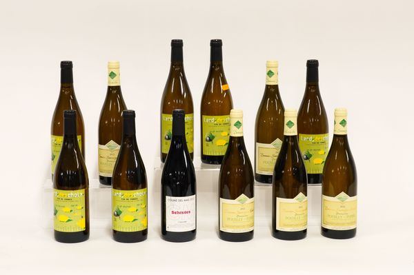 TWELVE BOTTLES OF MIXED WINES INCLUDING A BOTTLE OF COUME DEL MAS COLLIOURE SCHISTES 2012 (12)
