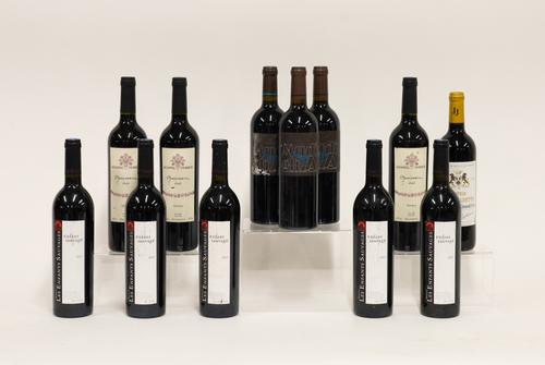 TWELVE BOTTLES OF MIXED WINES INCLUDING FIVE BOTTLES OF DOMAINE LES ENFANTS SAUVAGES COTES CATALANES 2011 (12)