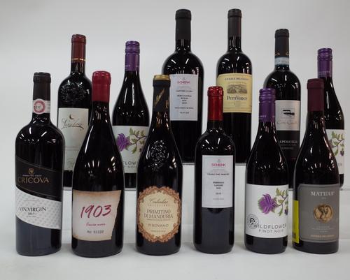 12 BOTTLES ITALIAN RED WINE