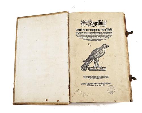 GESNER [or GESSNER], Conrad (1516-65). Vogelbuch, Zürich, 1557, 219 fine woodcut illustrations of birds, in an EXCEPTIONALLY FINE contemporary pigskin binding. FIRST GERMAN EDITION.