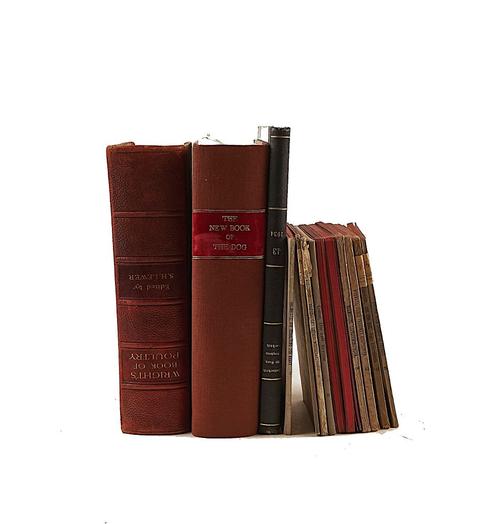 A large quantity of miscellaneous, mostly science, books in 4 boxes. Provenance: from the Collection of Peter and Margarethe Braune. The lot sold not subject to return. (qty)