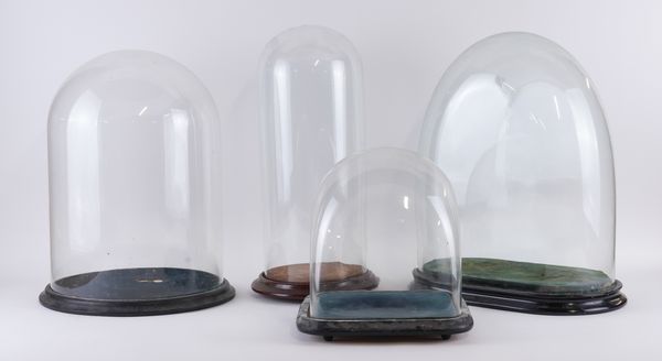 FOUR GLASS DOMES AND BASES