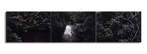 THOMAS JOSHUA COOPER (AMERICAN, B. 1946)