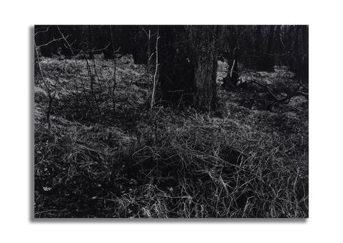 THOMAS JOSHUA COOPER (AMERICAN, B. 1946) (2)