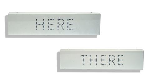 NATHAN COLEY (BRITISH, B. 1967) (2)