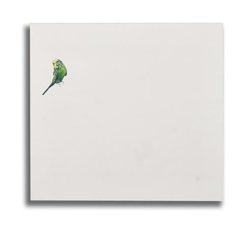 CASSIE HOWARD (BRITISH, 20TH/21ST CENTURY)