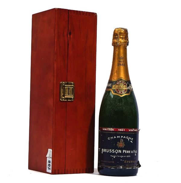 A 75cl BOTTLE OF 1981 BRUSSON PERE & FILS EPERNAY CHAMPAGNE